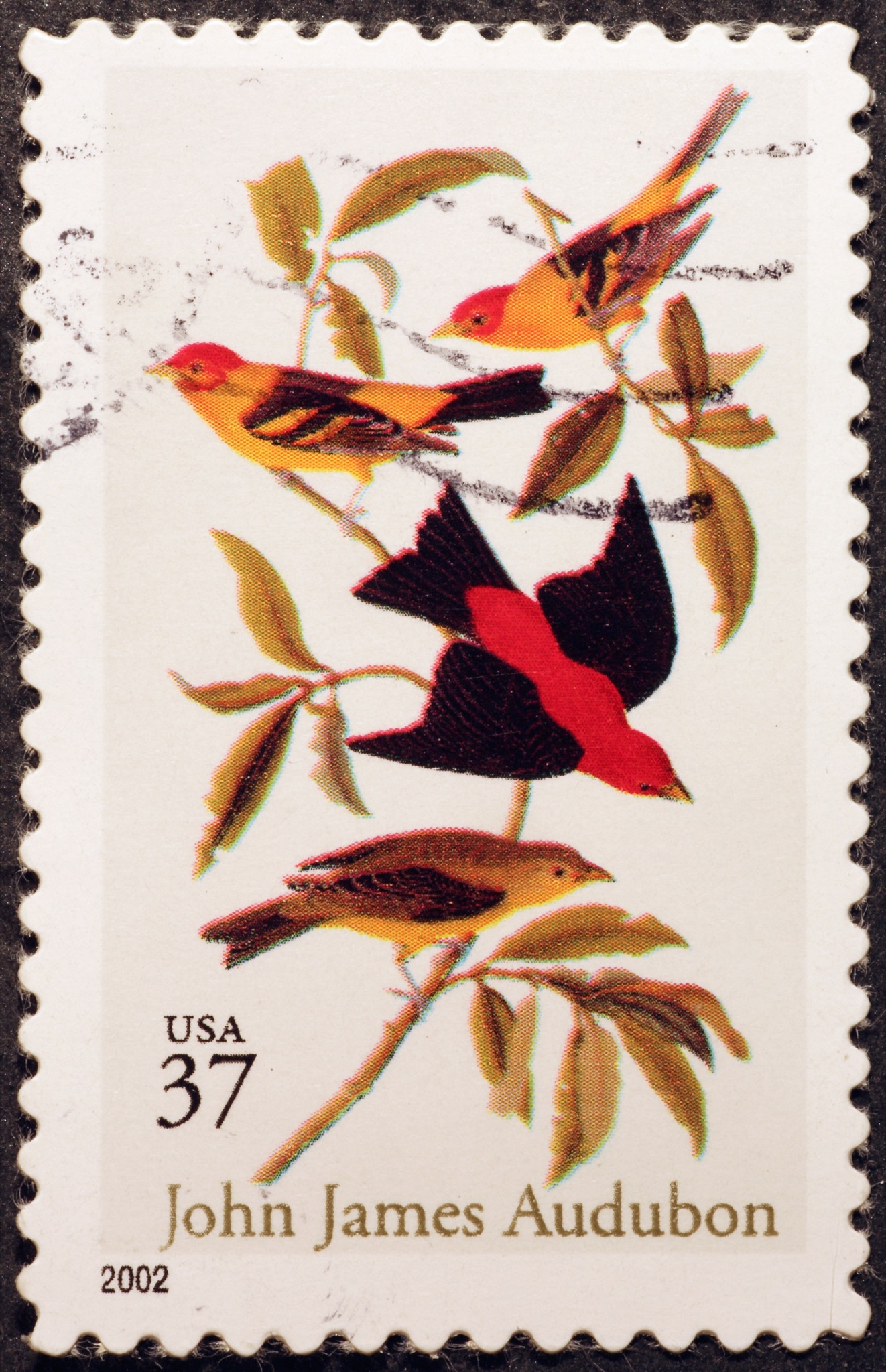 John James Audubon painting on american postage stamp