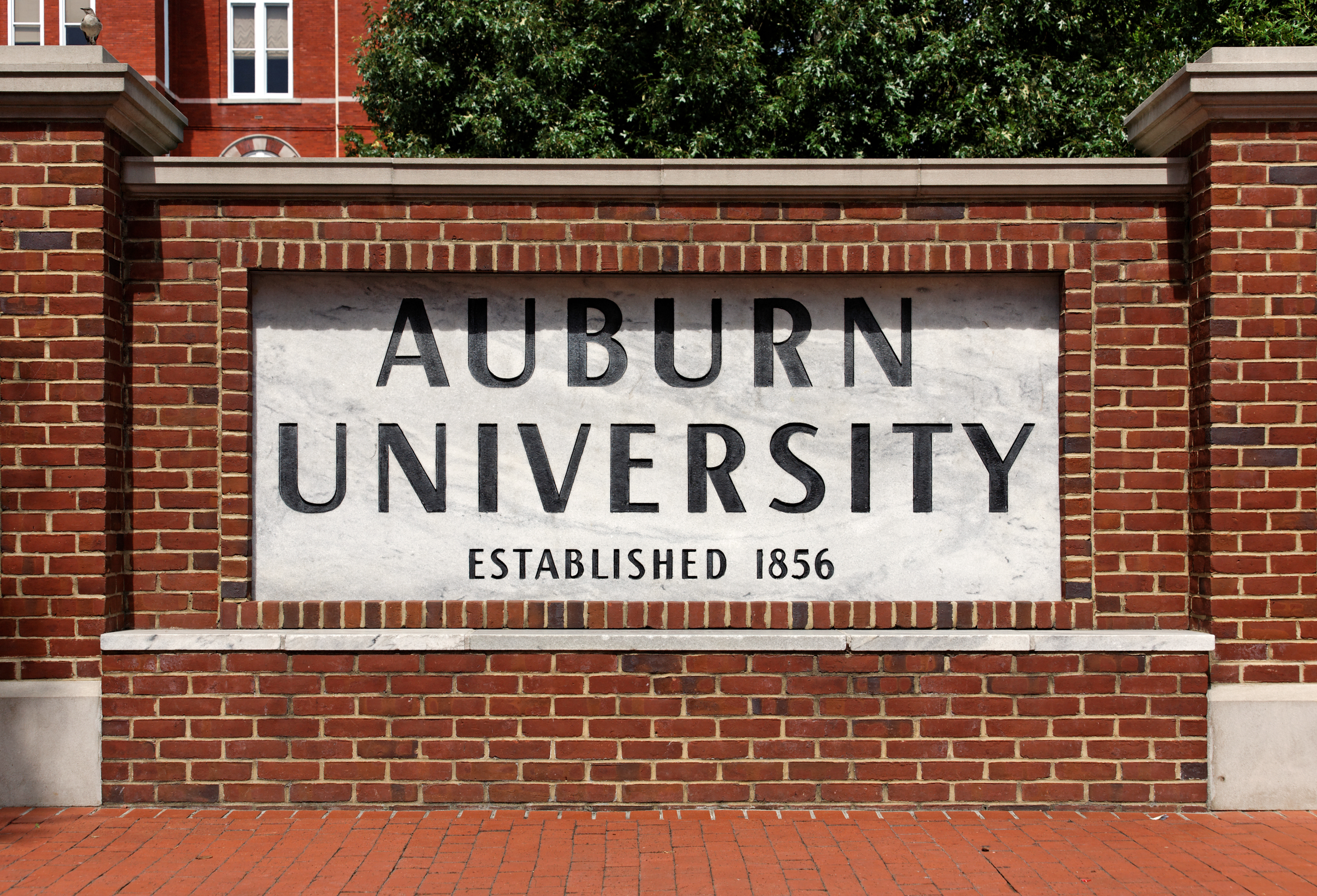 Auburn Sign